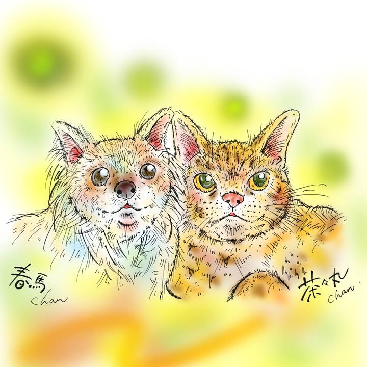 F34b7df3 6a67 49ea 9f26 c1cb511f5e5a 1582730606236