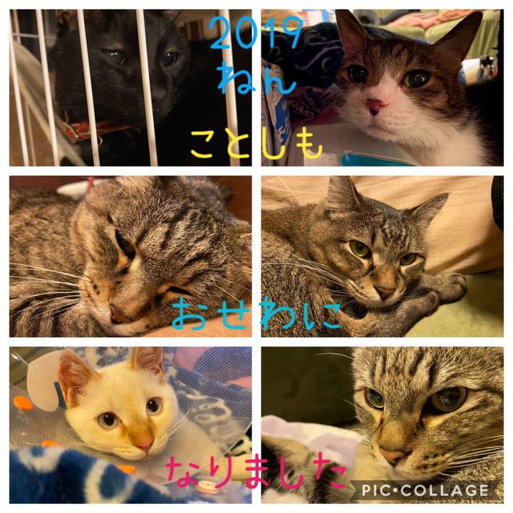 F34b836b a27f 44e0 aff7 81c5cb6ee6b9 1577803359845