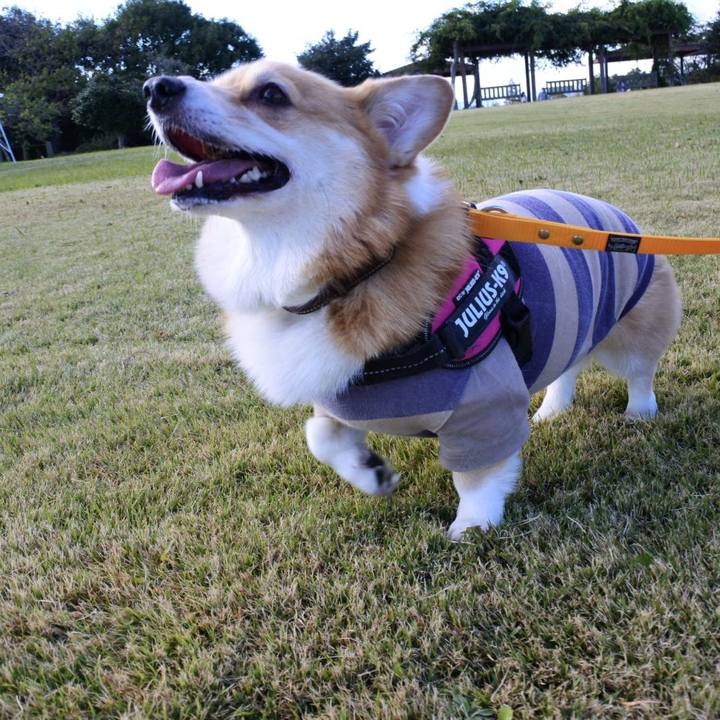 F34bcd08 7f2a 4479 9664 4978bb70d807 1635775065487