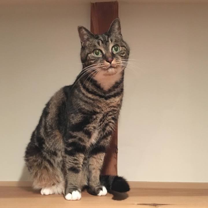 F34c0747 19d2 4cec a8c2 b71ae9a0c7cb 1551709393577