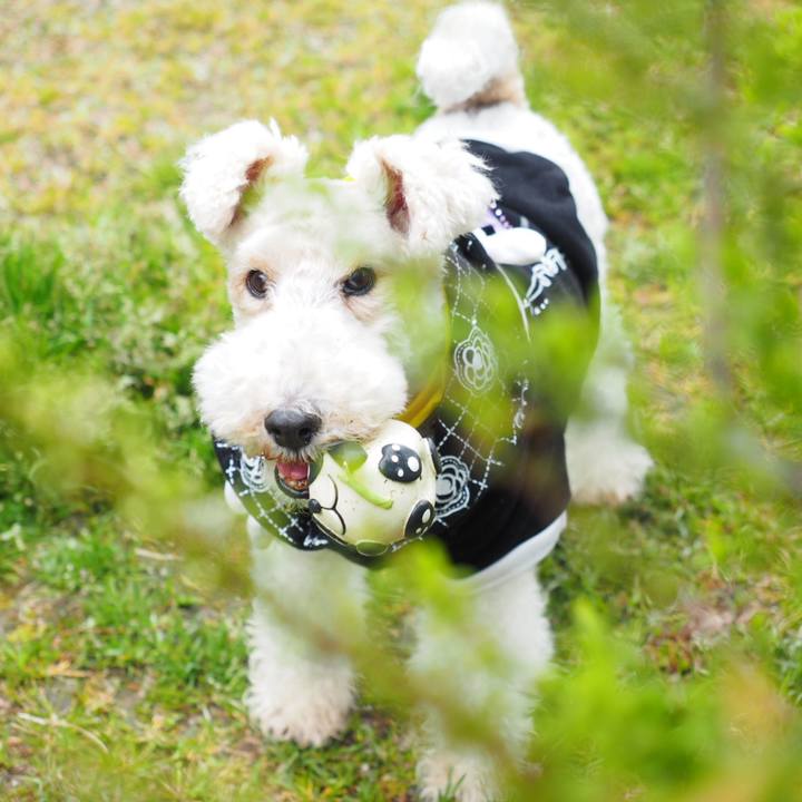 F34c0cbf 0bfa 42dd 8559 3d77747dc210 1553317135822