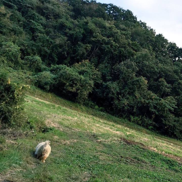 F34c165a 0ecb 448c a1c6 5303f687948f 1605856039564