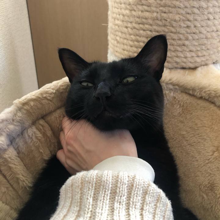 F34c17e2 4426 4b5b 8a96 2f2863242b92 1636854461669