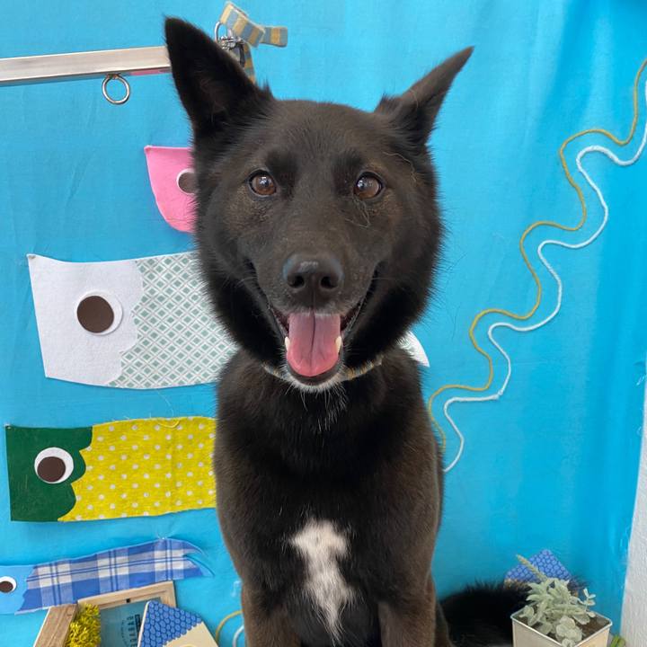 F34c3c6e 7f19 4ee3 be14 f5403fcd5cf4 1621605503131