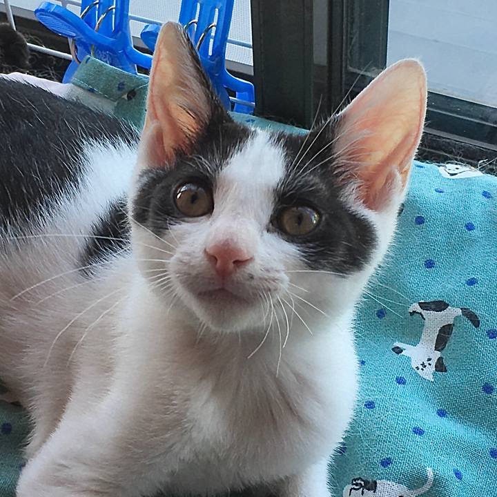 F34c52d1 447b 4f41 a685 d9d97456204c 1627870265054