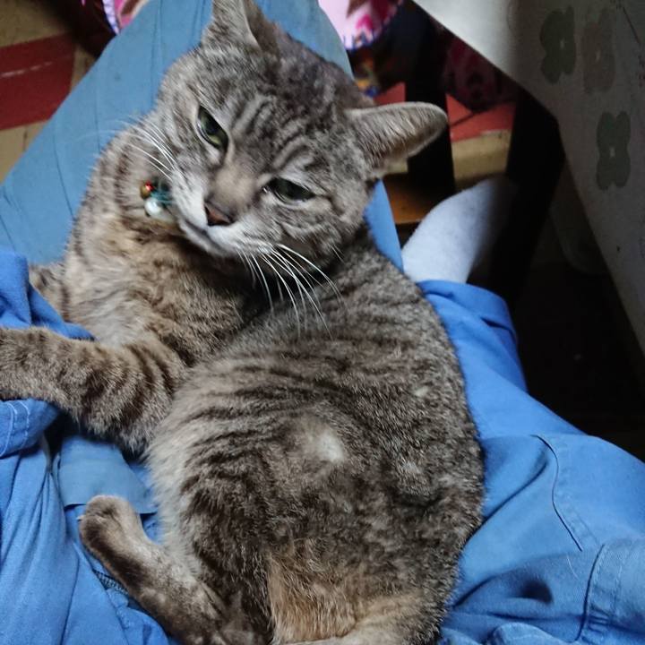 F34c7a1e f5f2 4af4 afef 2a1b4485d7da 1557223546357