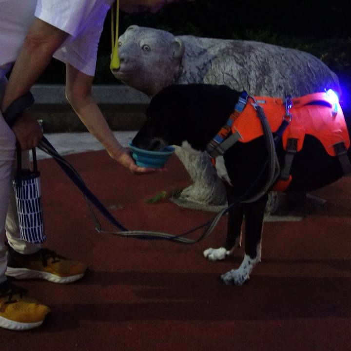 F34c979d 959c 42b6 8b4c 1daba6e6f53c 1750685506572