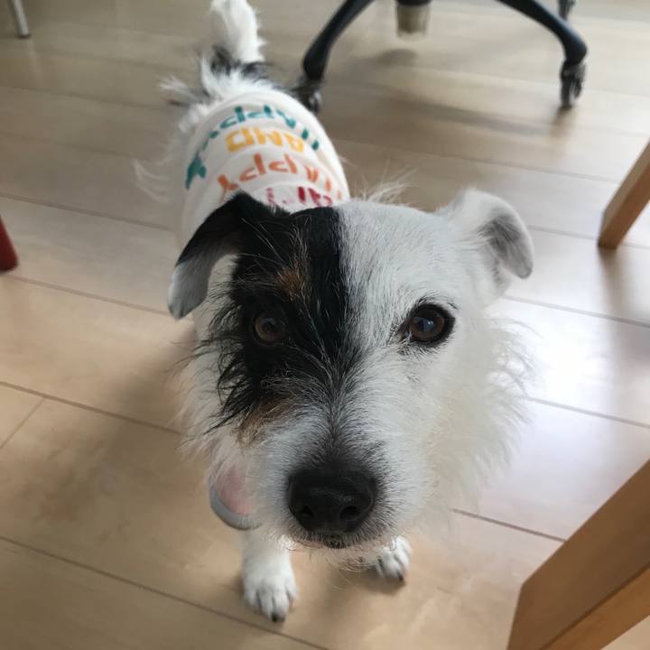 F34ca9f4 7a14 4d1f 9228 d599f10da75f 1521067667154