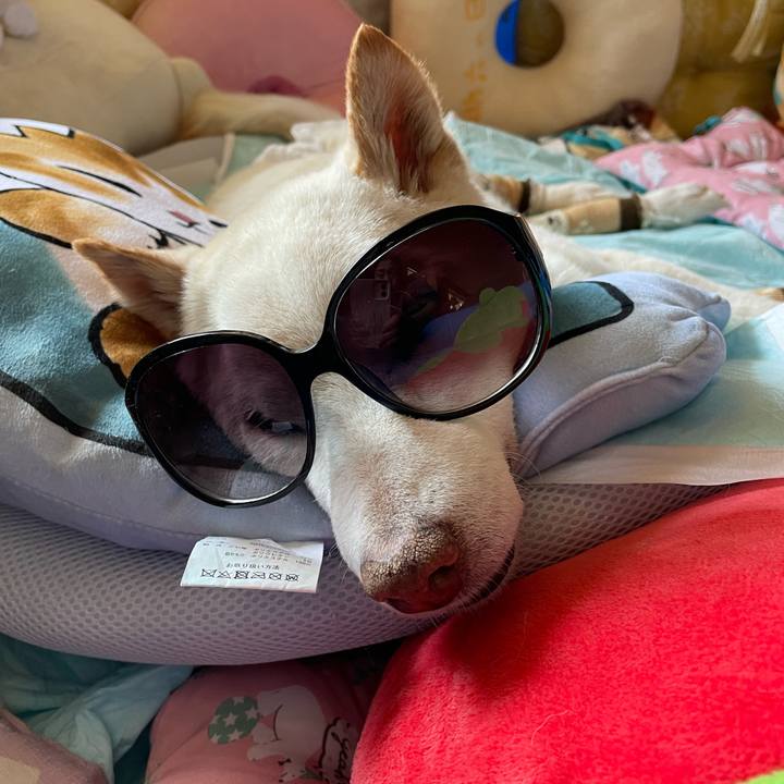 F34cb0bd 0e79 43e5 8069 108072ba1767 1680063874091