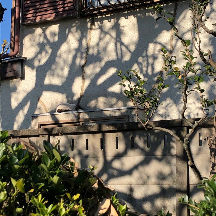 F34cbb4b 61b5 4001 b002 825a257b9843 1607439217821