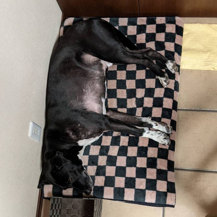 F34d1c38 cdb9 4188 83ed 46f7e9e6f3d0 1644921900696