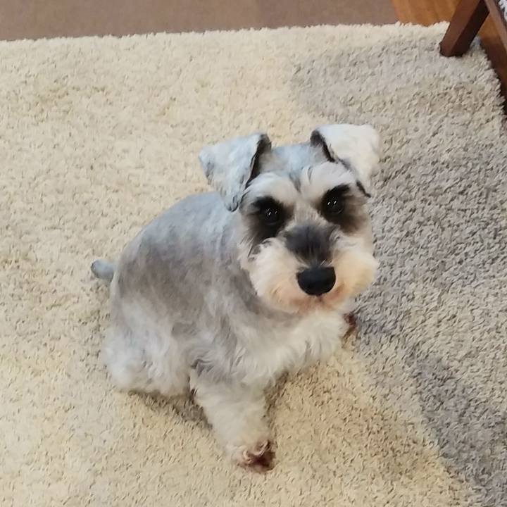 F34d67a9 980f 4fd6 a5d5 58dd31e9a417 1550788500419