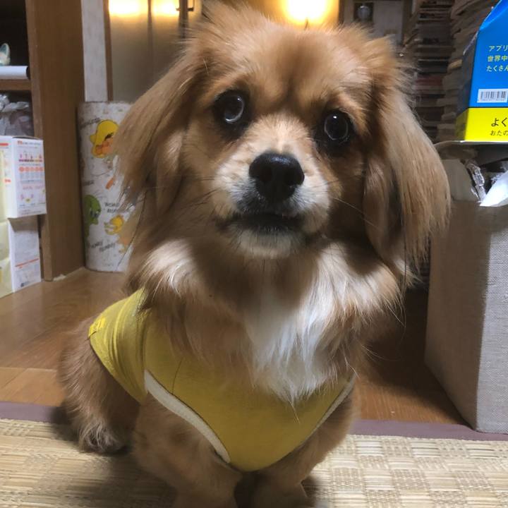 F34d7e73 428f 4d48 81bc f6a308efc4b0 1521493497631