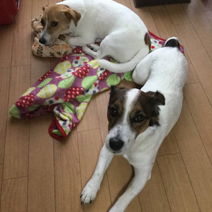 F34d9cd1 16c4 4a44 95f1 8fe1062810d5 1529198110796