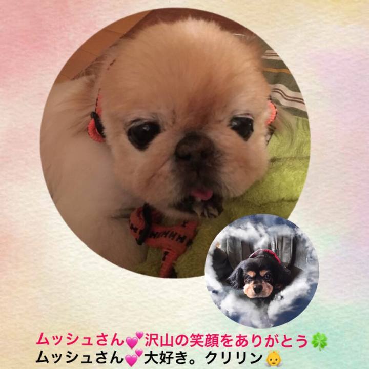 F34dca56 62bb 40fe 8329 40d7743128ed 1529128855681