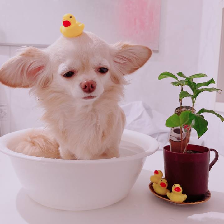 F34dfb47 e211 4732 976a ee54695b9680 1679310094519