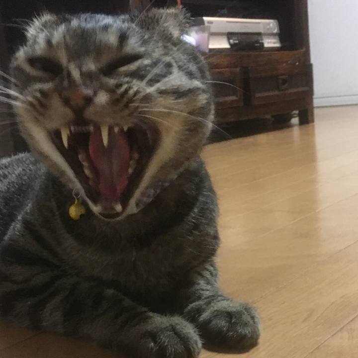 F34e37f9 dd71 4889 8501 ae9082ca9f77 1593952377068