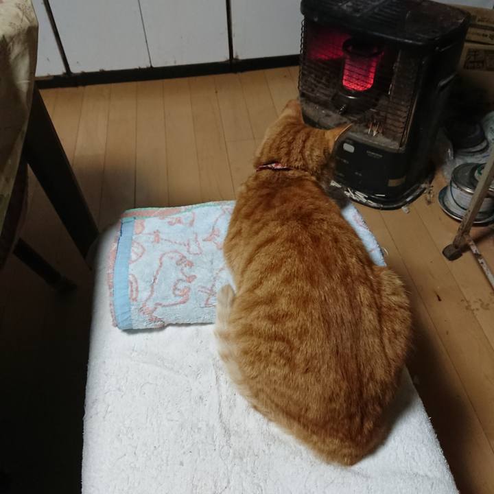 F34e3835 2225 468a 9f40 6db6006aa673 1604090040370