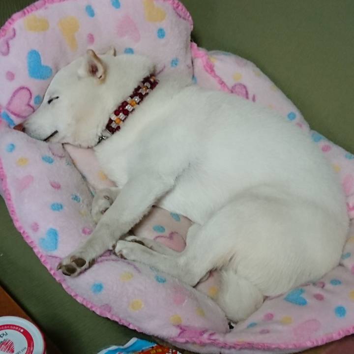 F34e3d90 b190 461a 83ff 289256601786 1559879849274