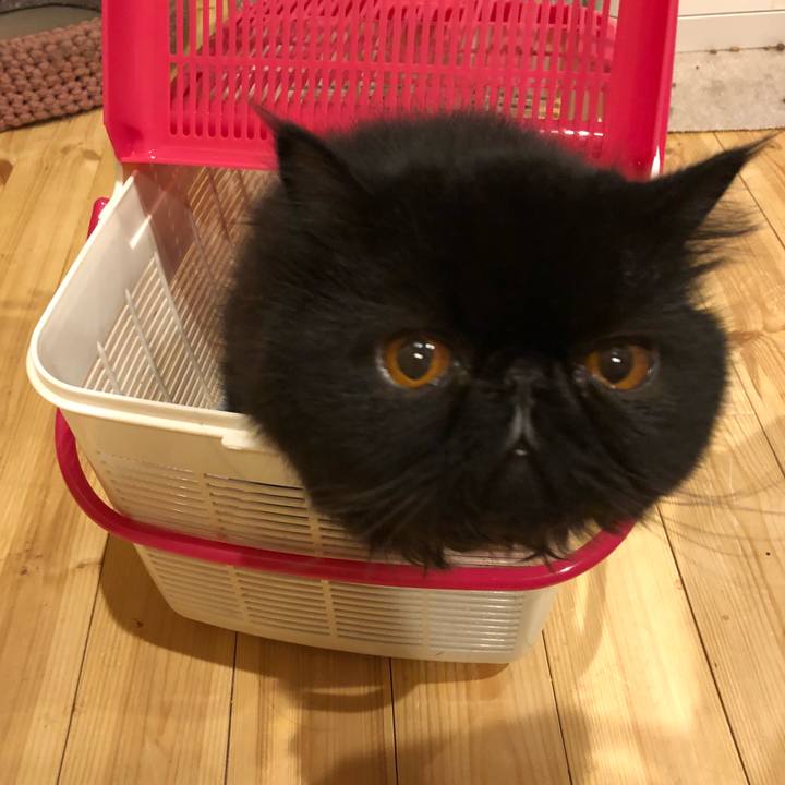 F34e3f9f 5e45 474a a3e4 87f6ebabfbee 1540130158517