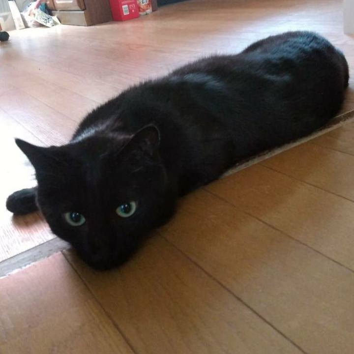 F34e49c8 e8ee 40c6 9a78 31f52fdf973a 1558931557243