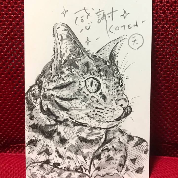 F34e57ab 1938 4297 8e80 83021db3e254 1545062327228