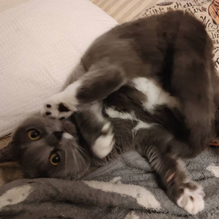 F34e7f1e 88c7 4cd2 9278 d3b397ec3f55 1608215863774