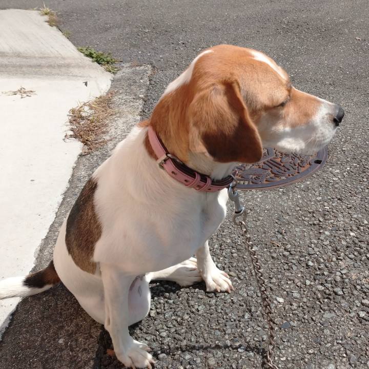 F34eadce 88da 4c0c b3ae 4721ee35652a 1602560219266