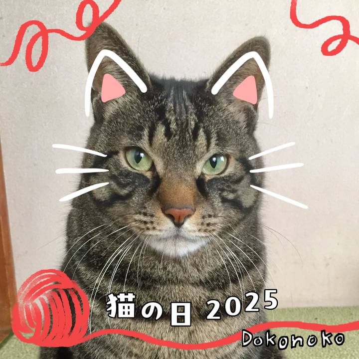 F34ec99e 3bed 436c a613 67e4422c06c7 1740223414194