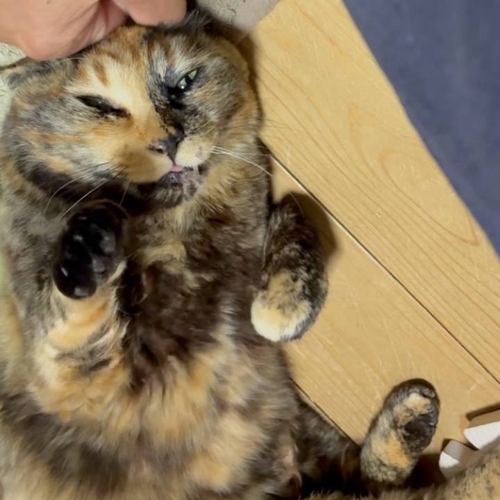 F34f3e98 2b14 497d 8cdd 82d0e9042afd 1774556323232