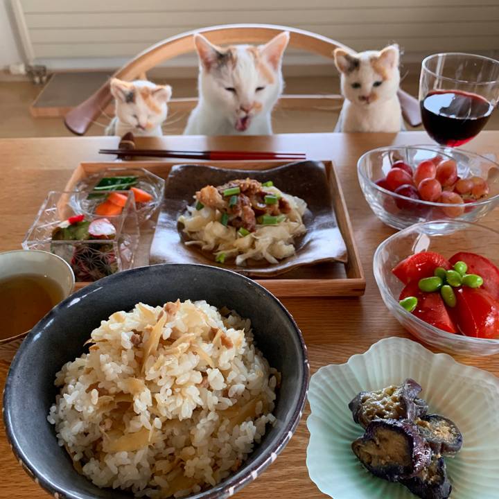 F34f55ef 088f 4a23 af2b 8cb6ba0ebd63 1592994434001