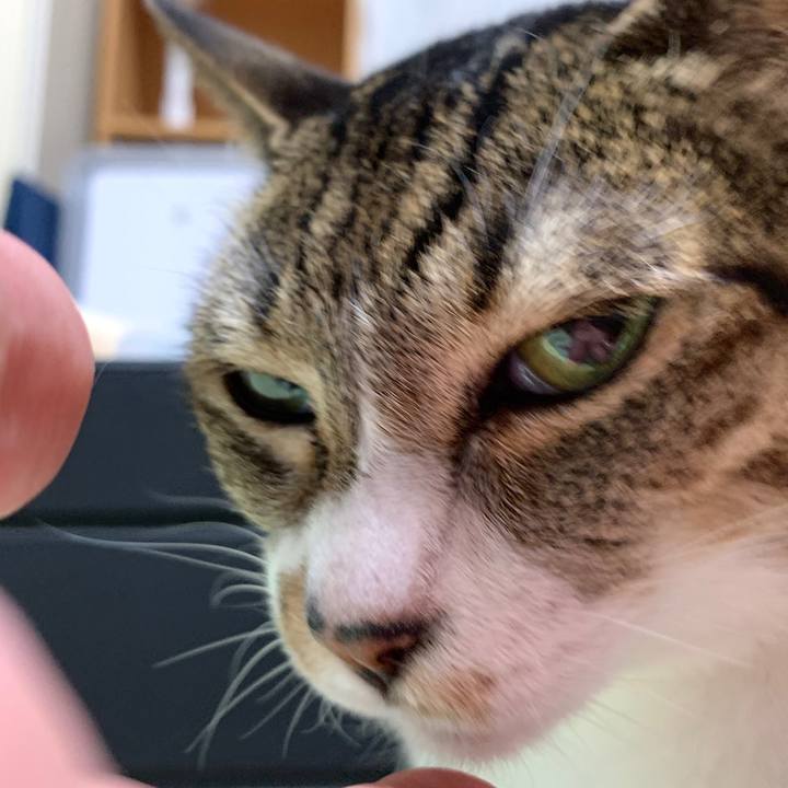 F34f5a30 851c 403b 82b7 e9b198757b08 1565397244649