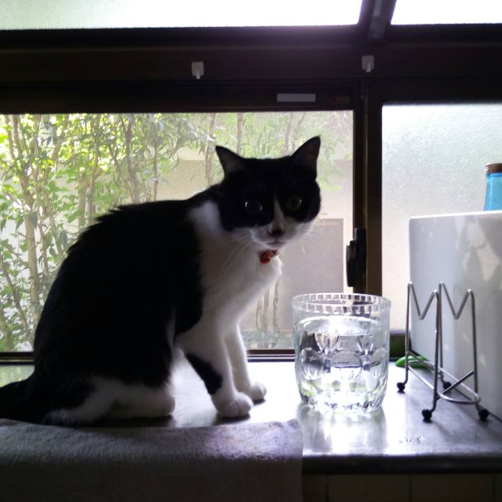 F34fa950 2bba 484a 8c8c 5f93e85cb08e 1535237544848