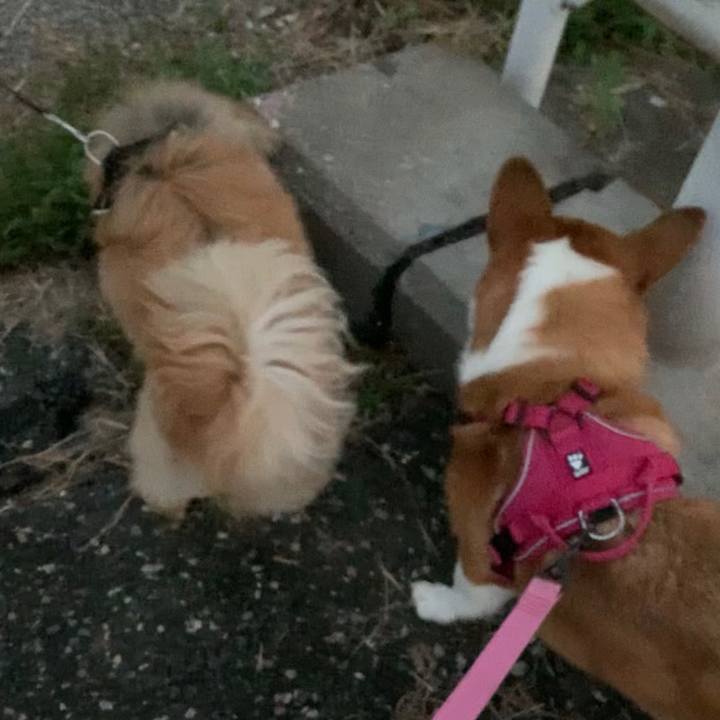 F34fbab4 48d7 47f7 9cd6 400c09cad2ba 1664099080575