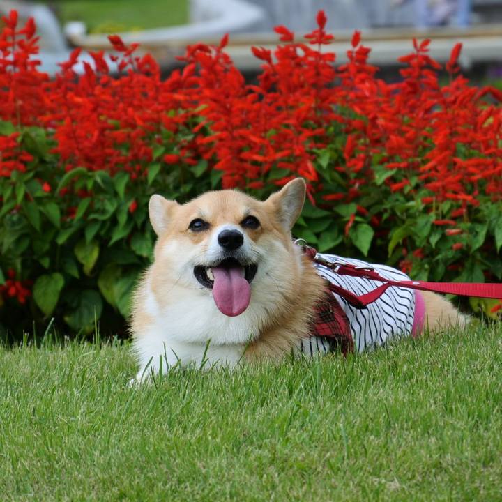 F34ffc91 6316 41d3 8c94 1a1013c18723 1569142100050