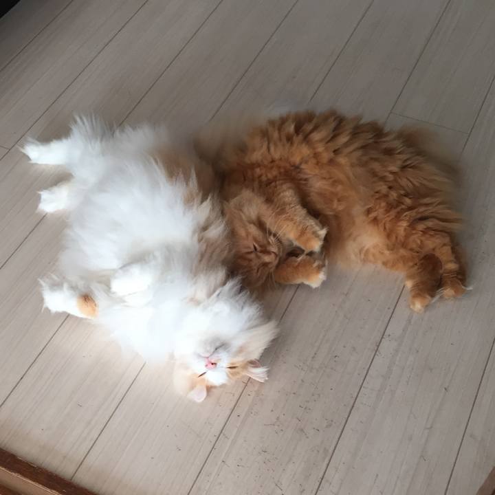 F3504e17 d706 417a 87cf 6b078414e25d 1556053500385