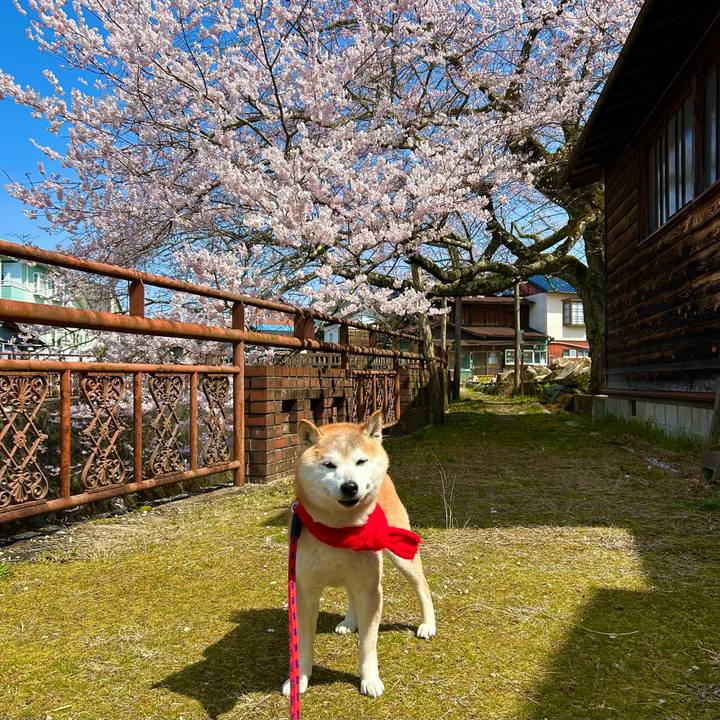 F35073a3 9319 49f0 a7f3 0fb0cc50bc95 1744021705050