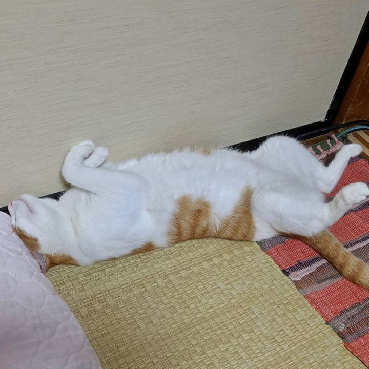 F35086ec b677 4190 98bd 7135c185d2a6 1565697880497