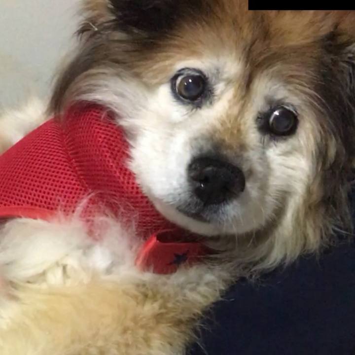 F350947a 3266 4778 b380 d464338377cd 1615039201625