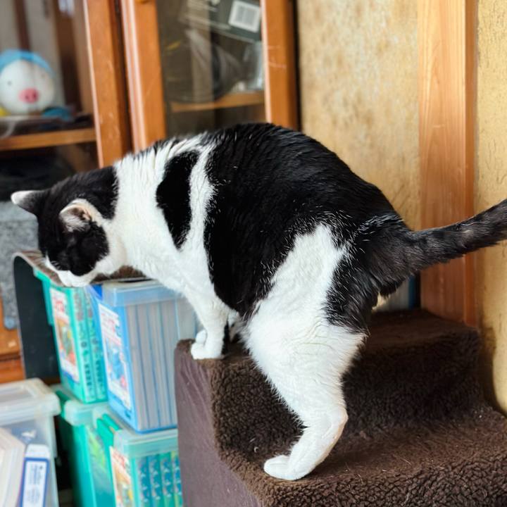 F3511199 55d6 4bb2 a53d ea07e800aed0 1708306869640