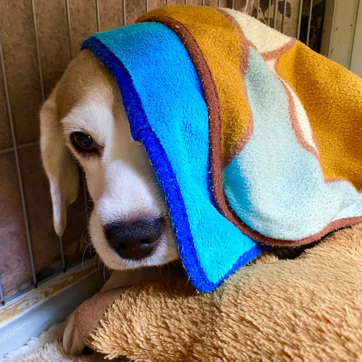 F35114bb bb5d 4c87 82dd 235870e45917 1579495095132