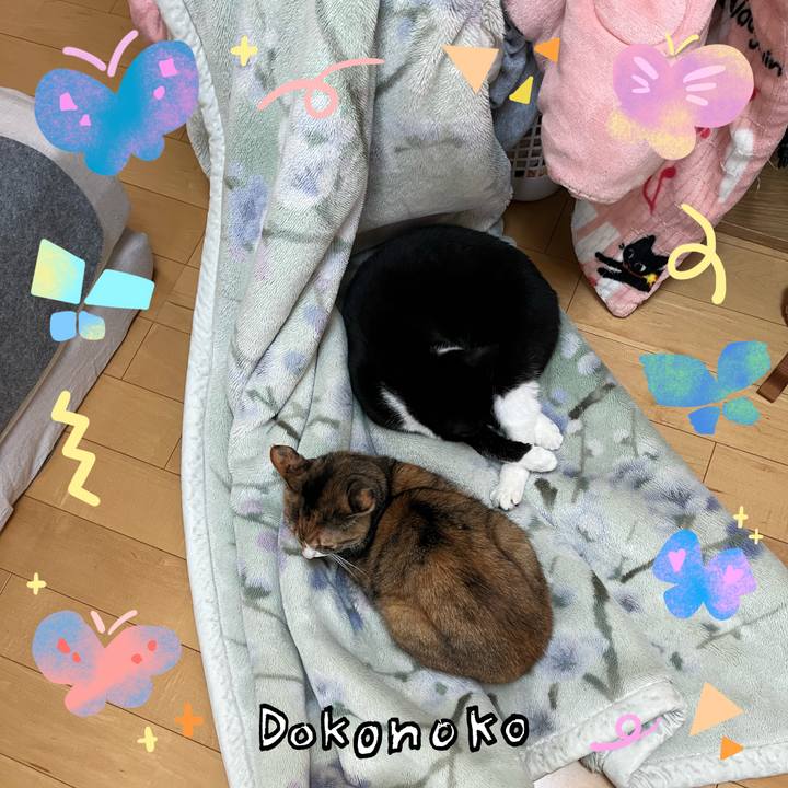 F35121c3 3206 4b24 9217 0cc39a8b1559 1711074863110