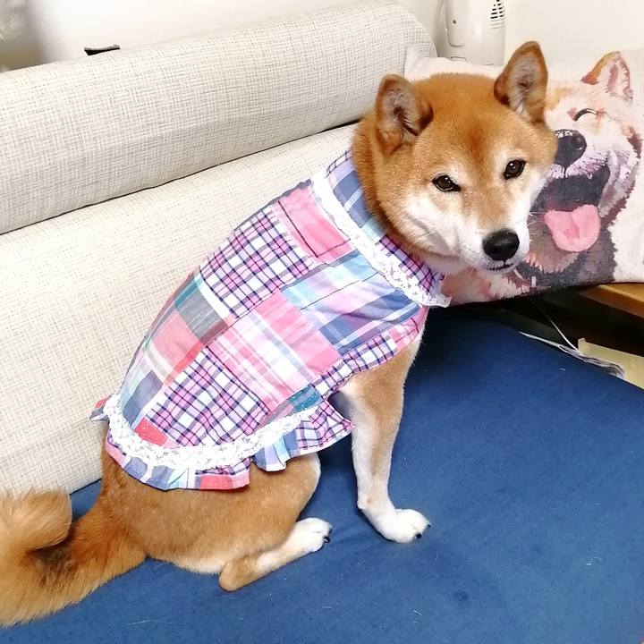 F35151c6 c7c9 40bf 9501 ad20a43646f7 1687419658672