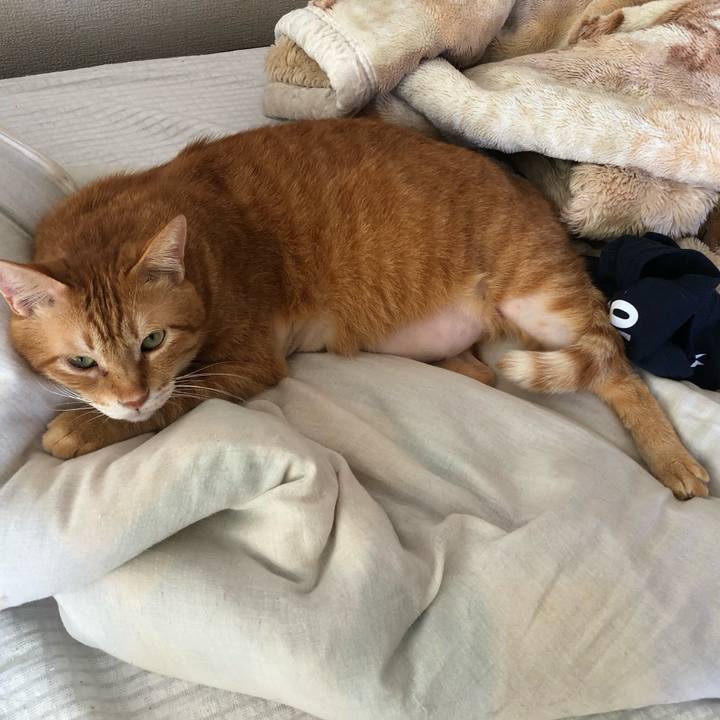 F3518376 ab9e 429a 9020 1fc41f1ba8f7 1630880867842