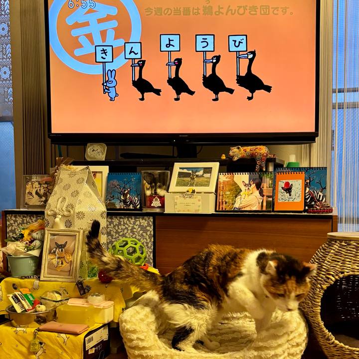 F35193ae b66d 4609 ab6d 738e7a7c9f72 1737064938875