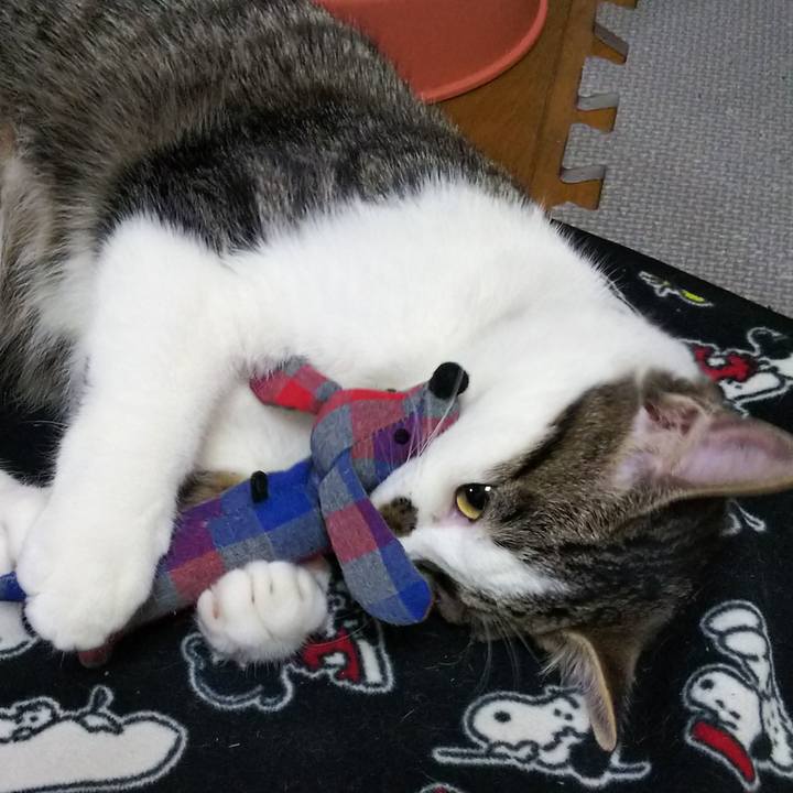 F351a757 f52b 4e19 b20c 60d5636f572f 1618129222919