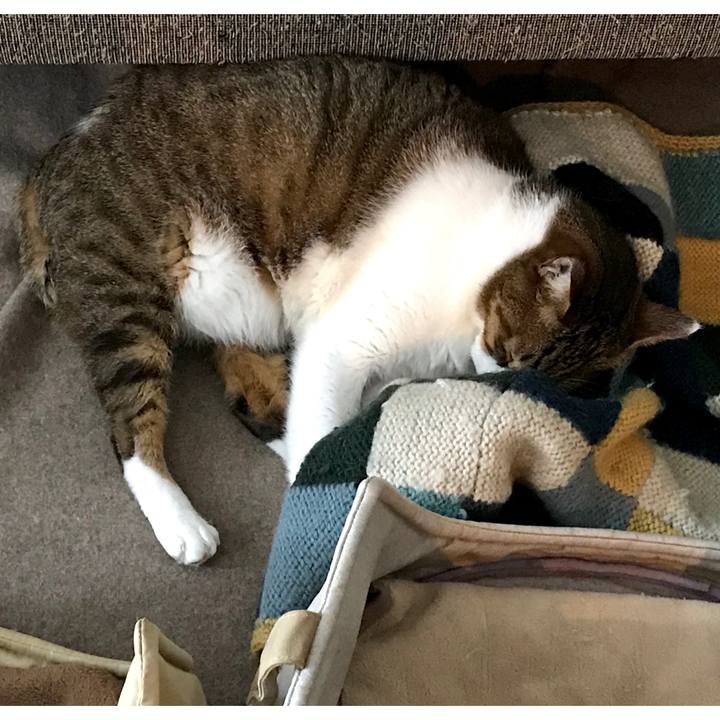 F351bc6d 7a7d 42d9 9a1e 2ba82bdbb354 1550446644785