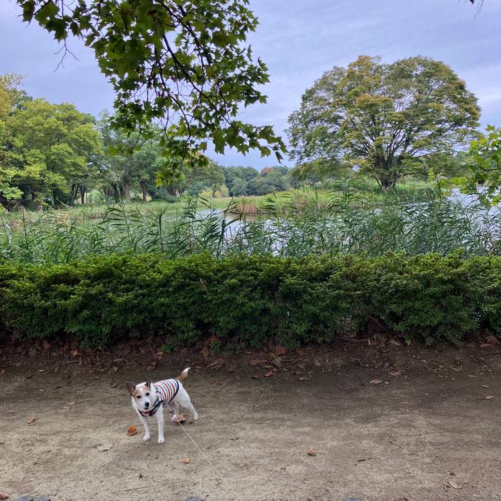 F351e22f 6d7c 431d bd56 ee39571c6a70 1727824974054