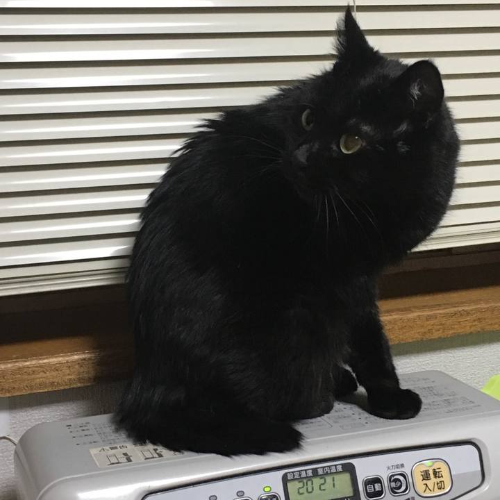 F351e4ed ed84 4329 a89f 2ac0025c55ec 1543312734780