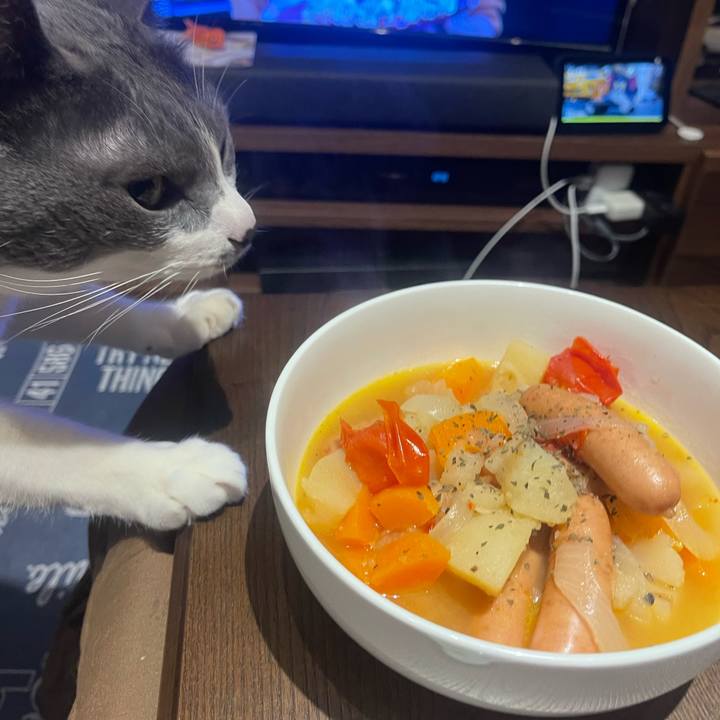 F351eef2 450c 485c ab5a cc6cb6ed512a 1707731975174